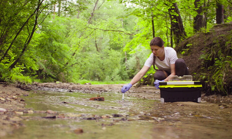Lady collecting test samples down at a creek.